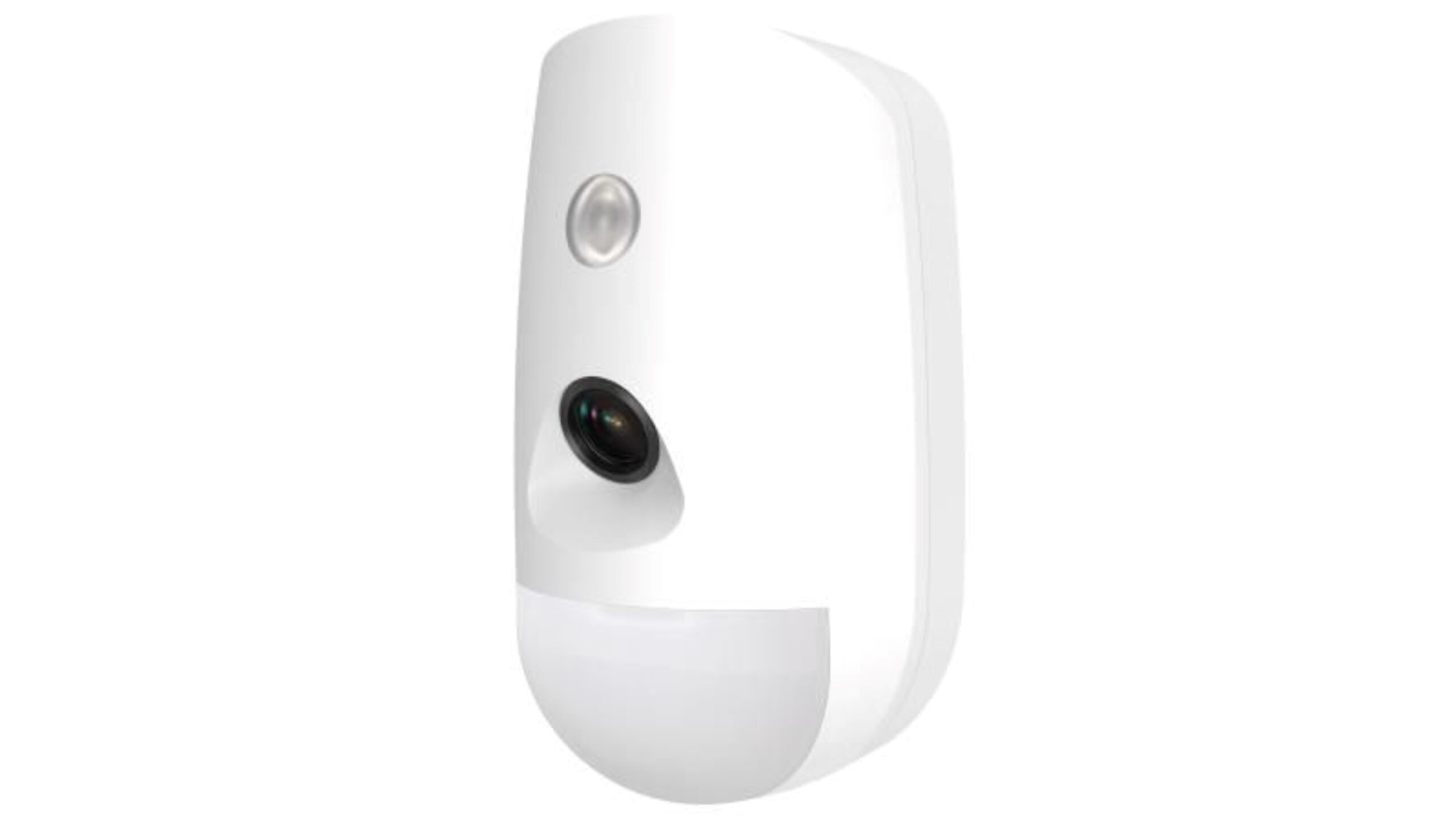 aaa20240620-27537-1mb80k8-1.jpg