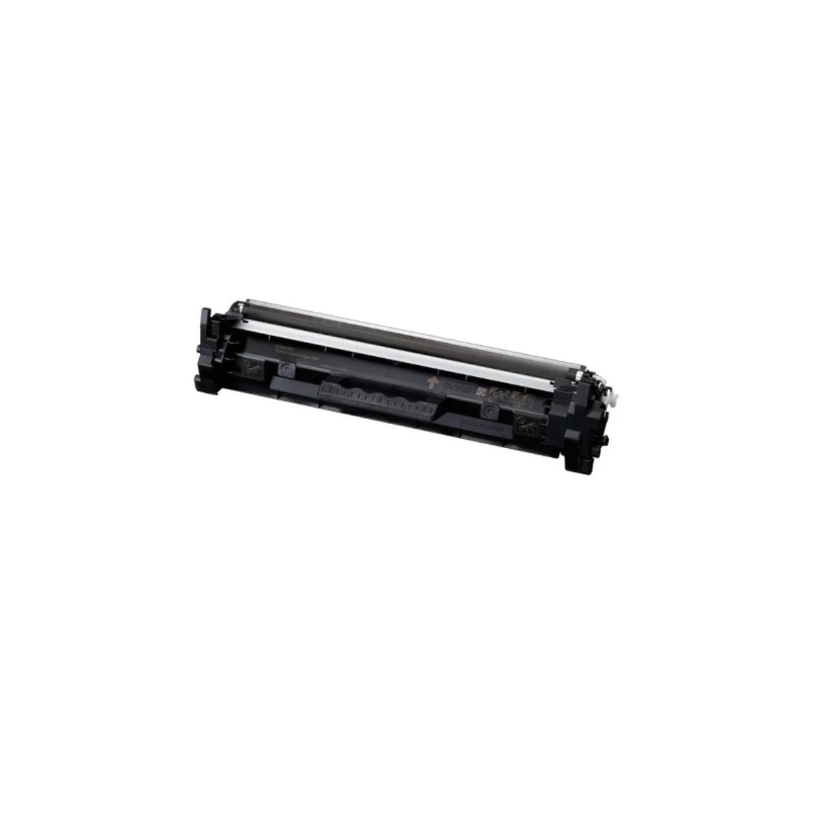 standard_resolution-446.jpg