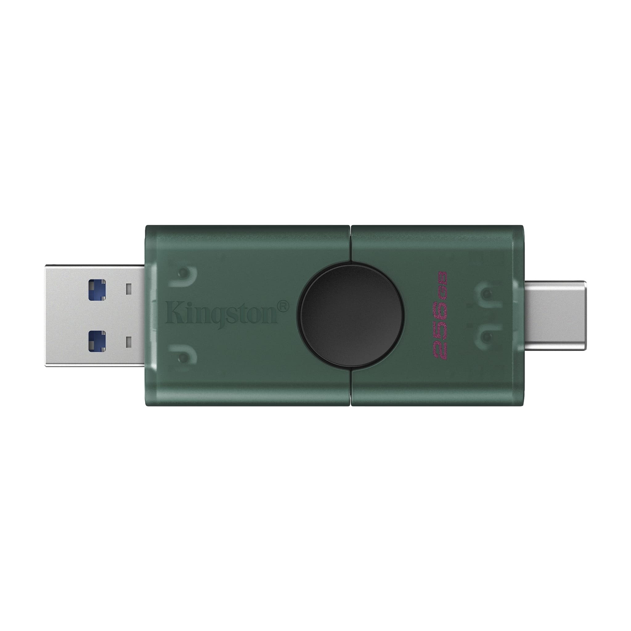 standard_resolution-512.jpg