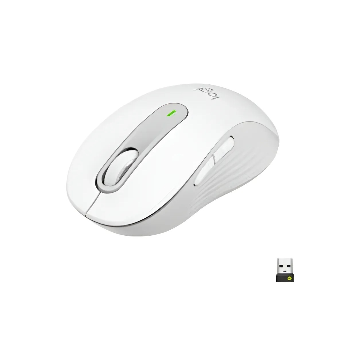 standard_resolution-547.jpg