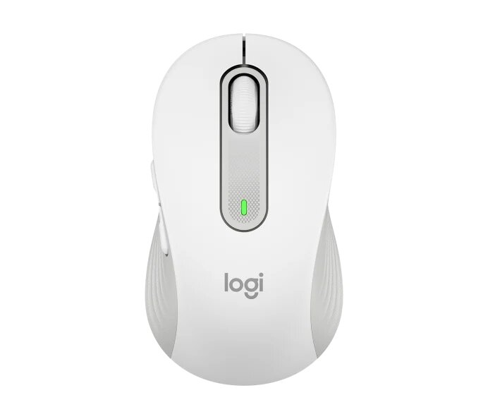 standard_resolution-650.jpg