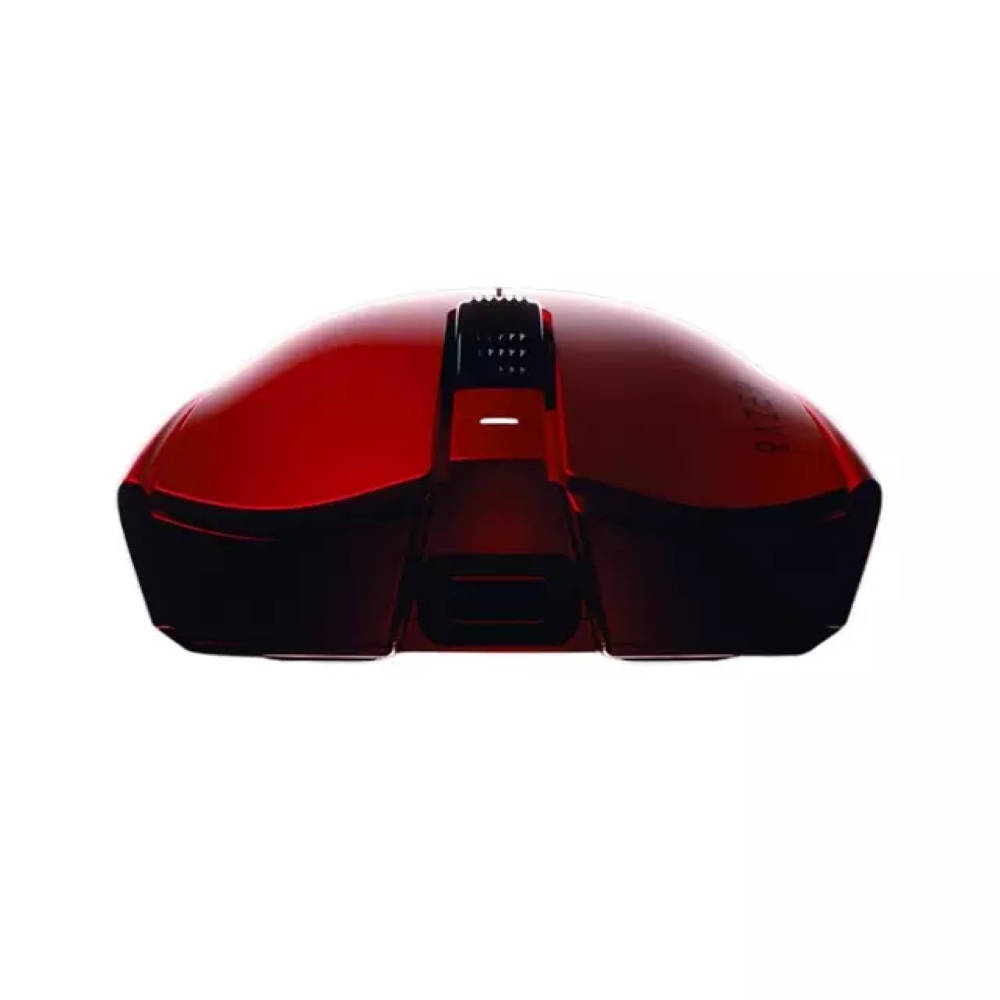 standard_resolution-1356.jpg