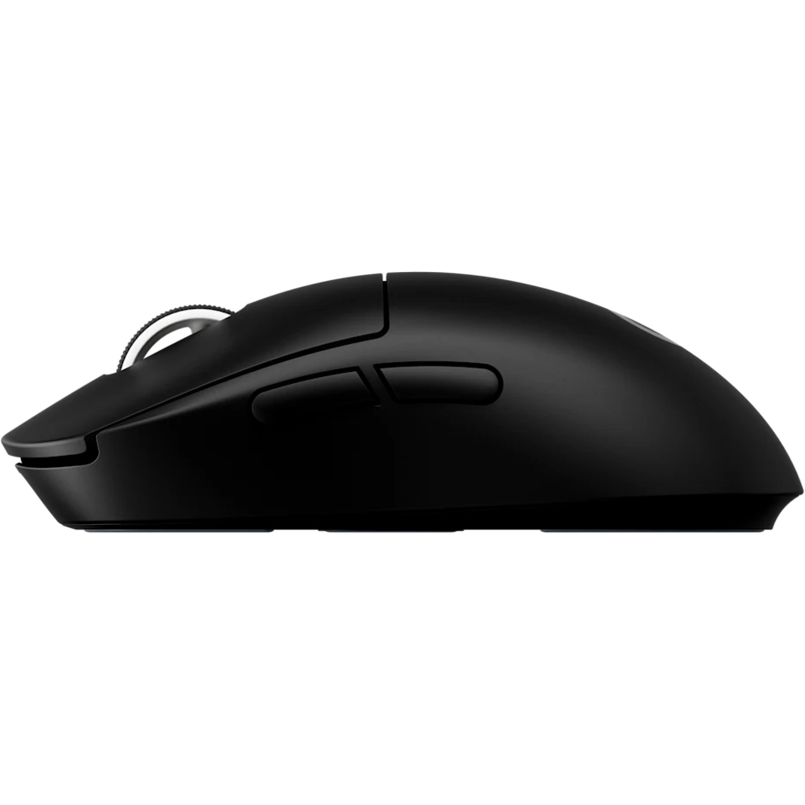 standard_resolution-1477.jpg