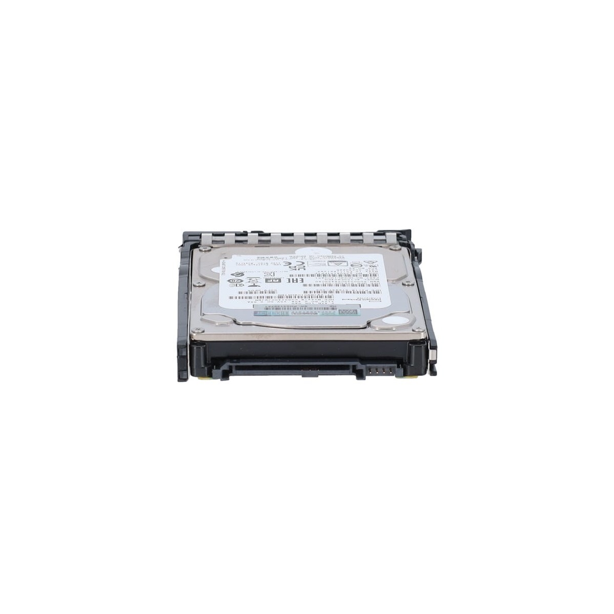 standard_resolution-1558.jpg