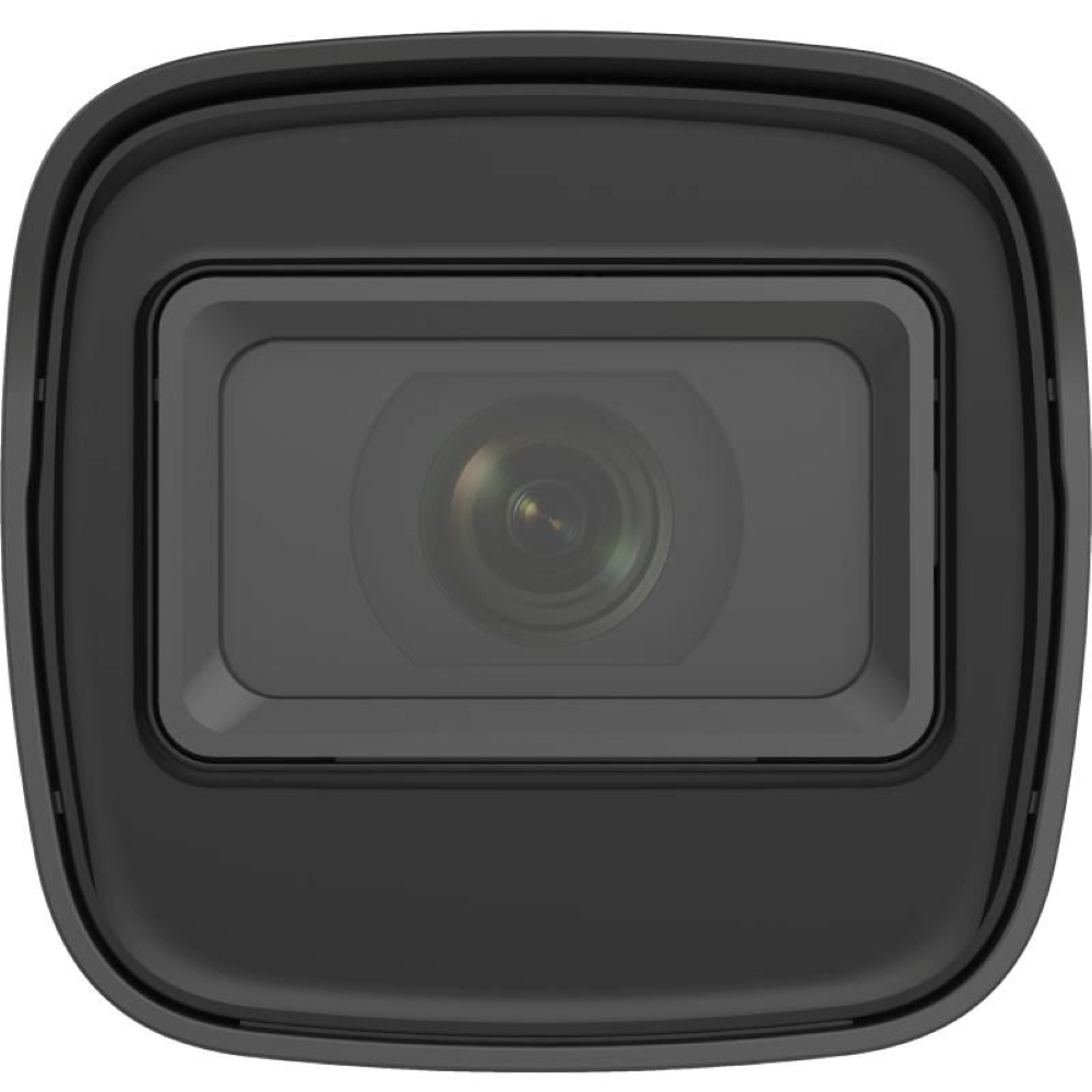 standard_resolution-204.jpg