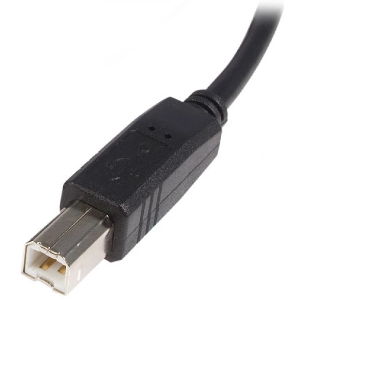 309687_startech_usb2hab3m_3m_highspeed_usb_20.jpg