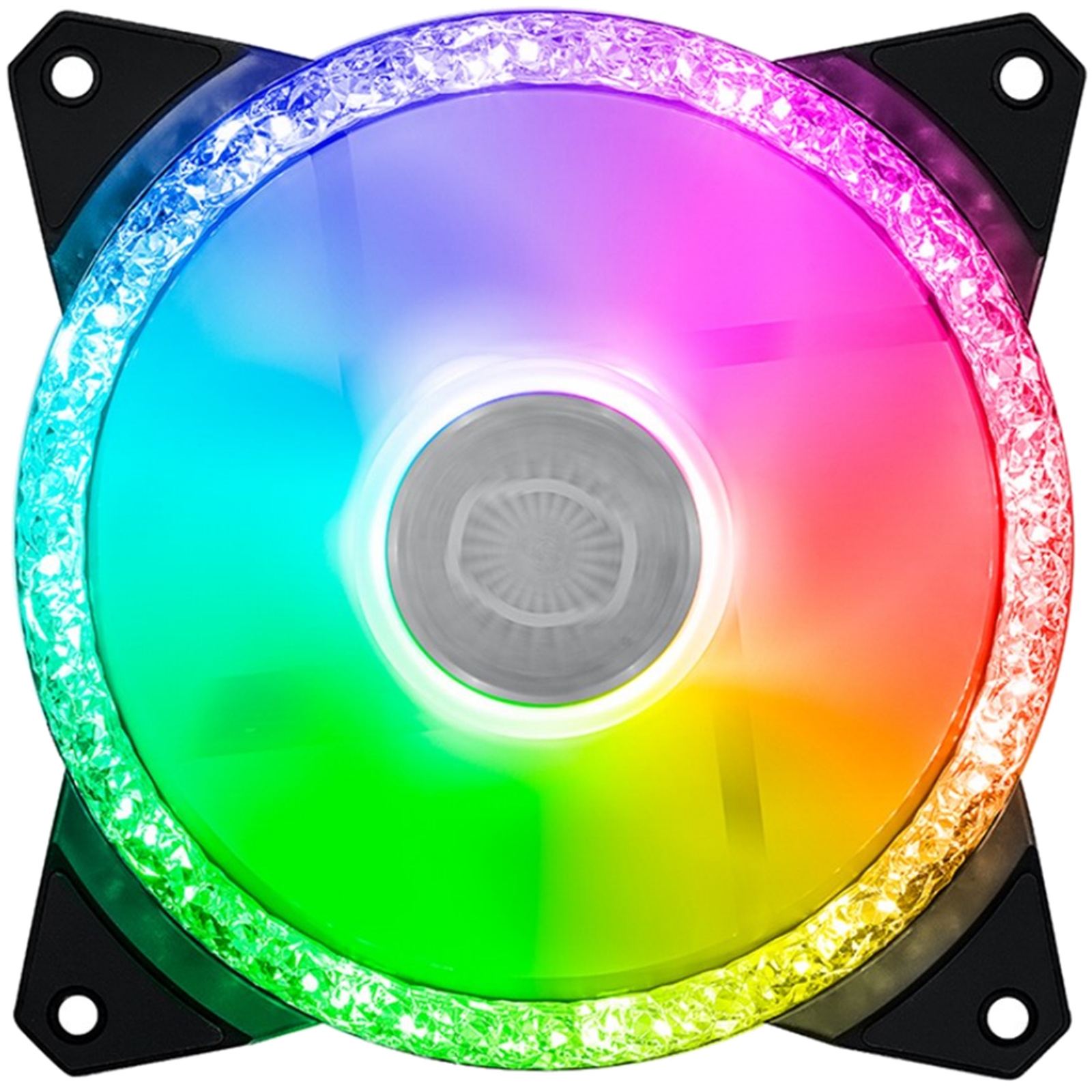 ese20240130-5722-1i8kb1w.jpg