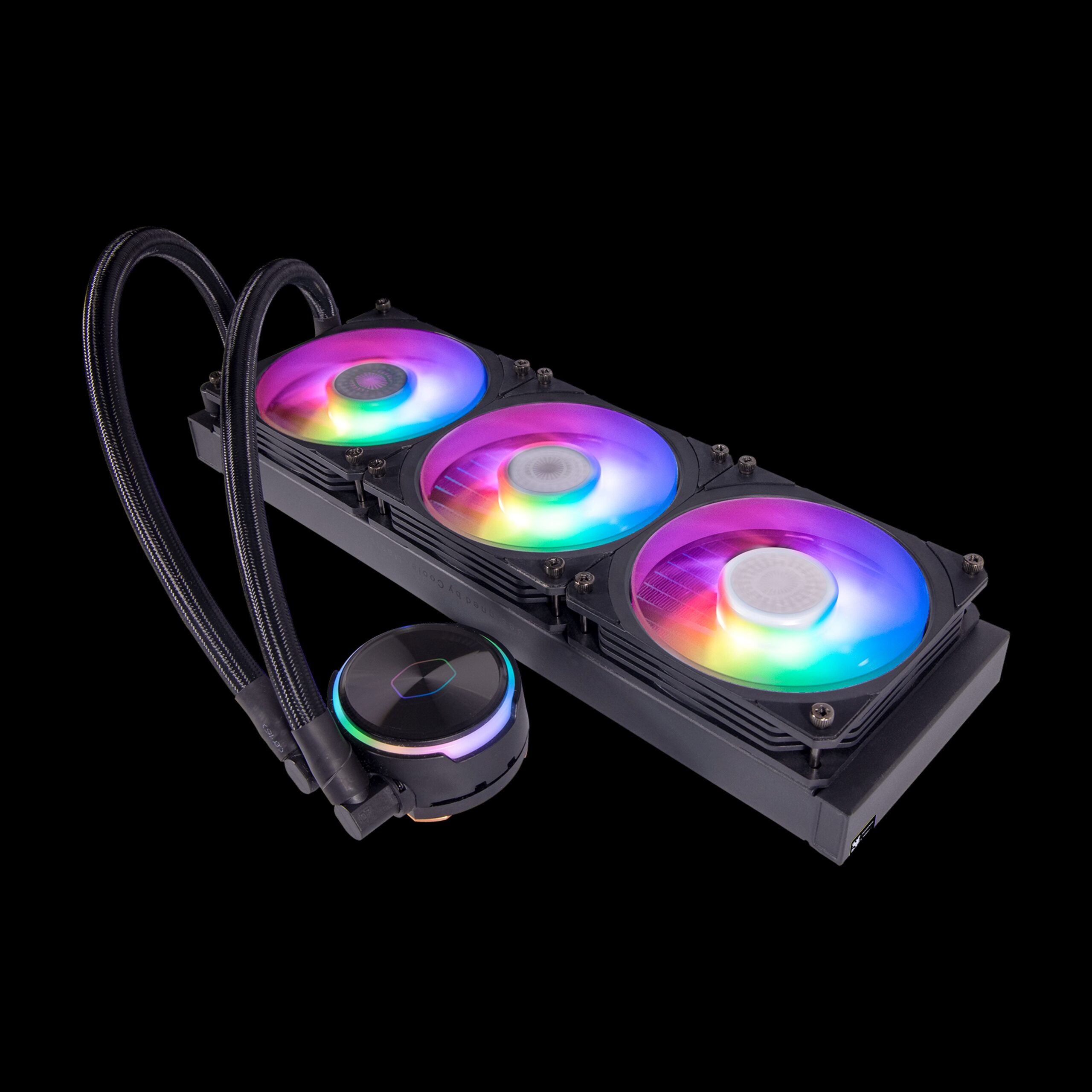 q20240201-4808-plv4k9.jpg
