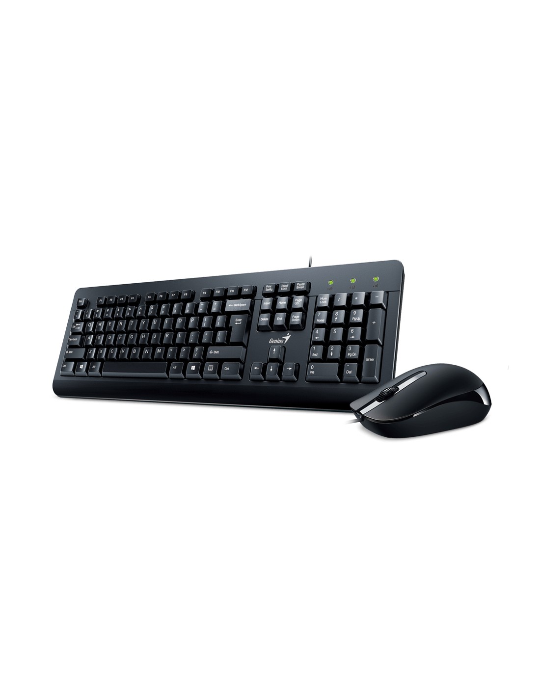 standard_resolution-484.jpg