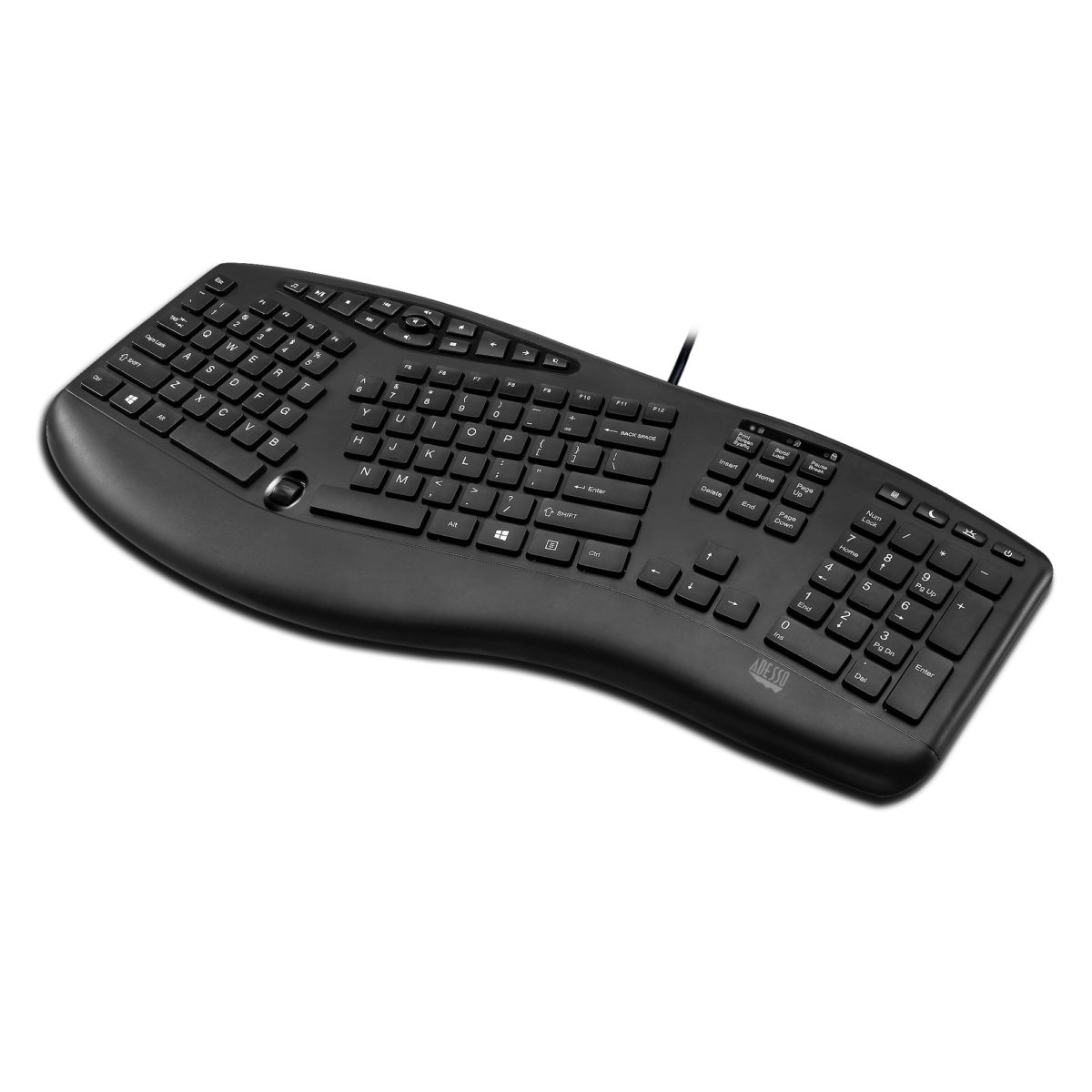 standard_resolution-505.jpg