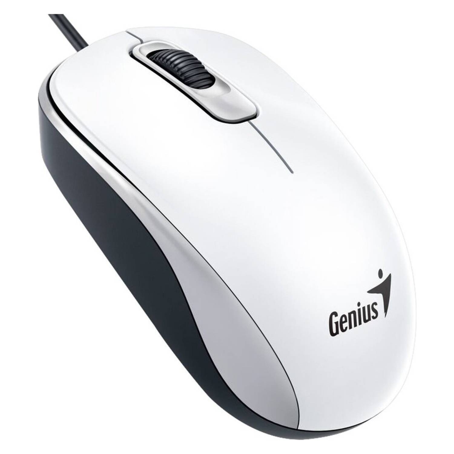 standard_resolution-569.jpg
