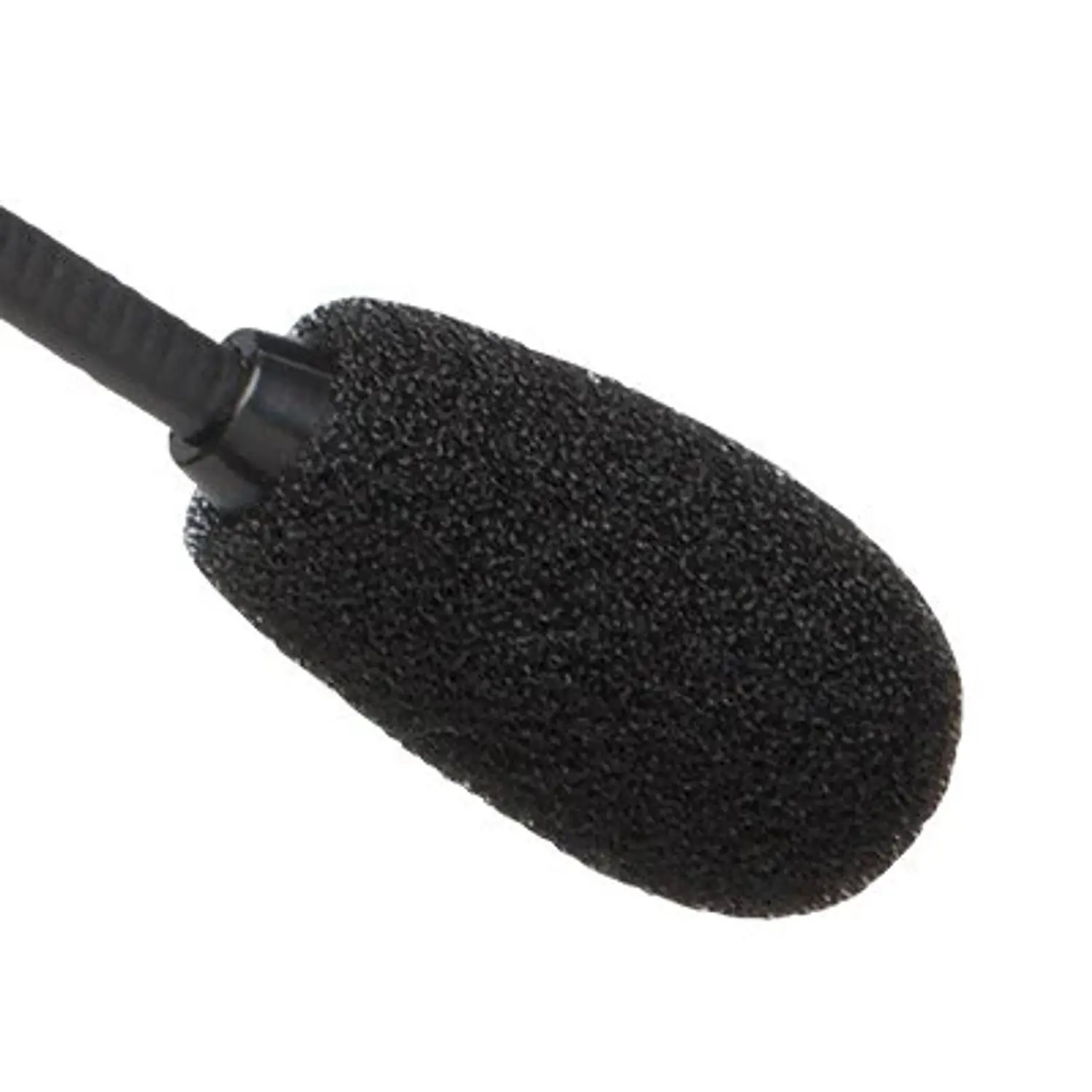 standard_resolution-779.jpg