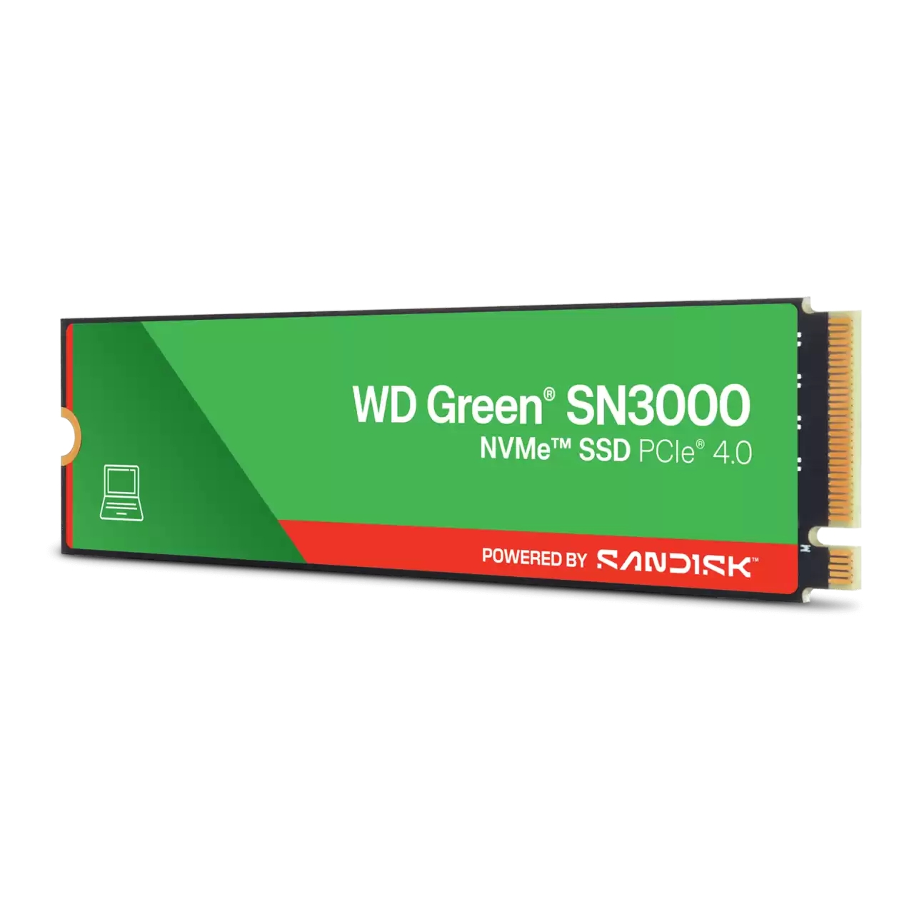 standard_resolution-970.jpg