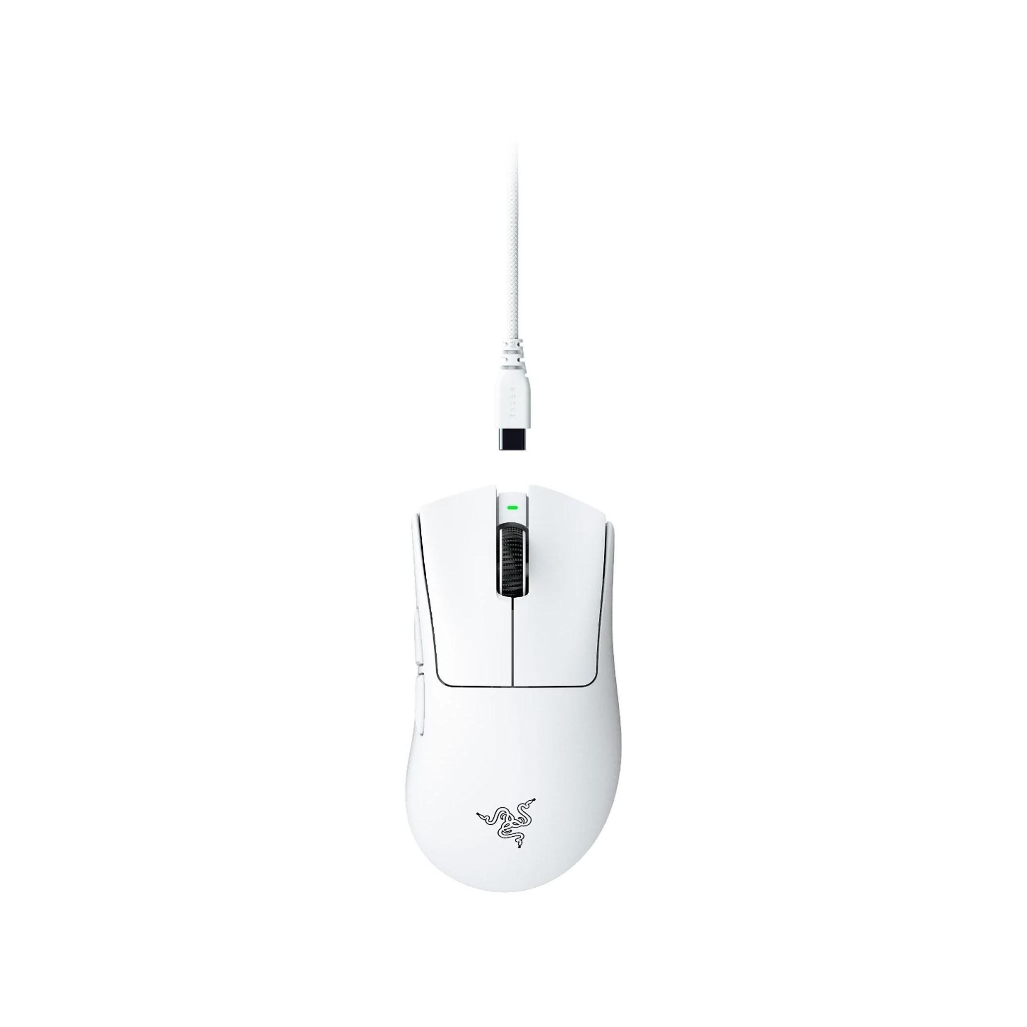 standard_resolution-154.jpg