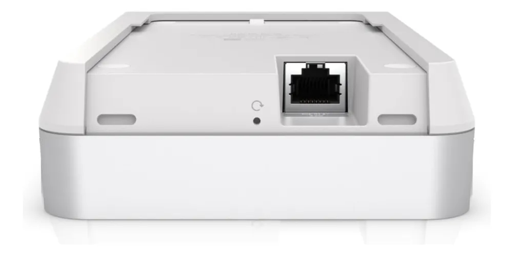 standard_resolution-124.jpg