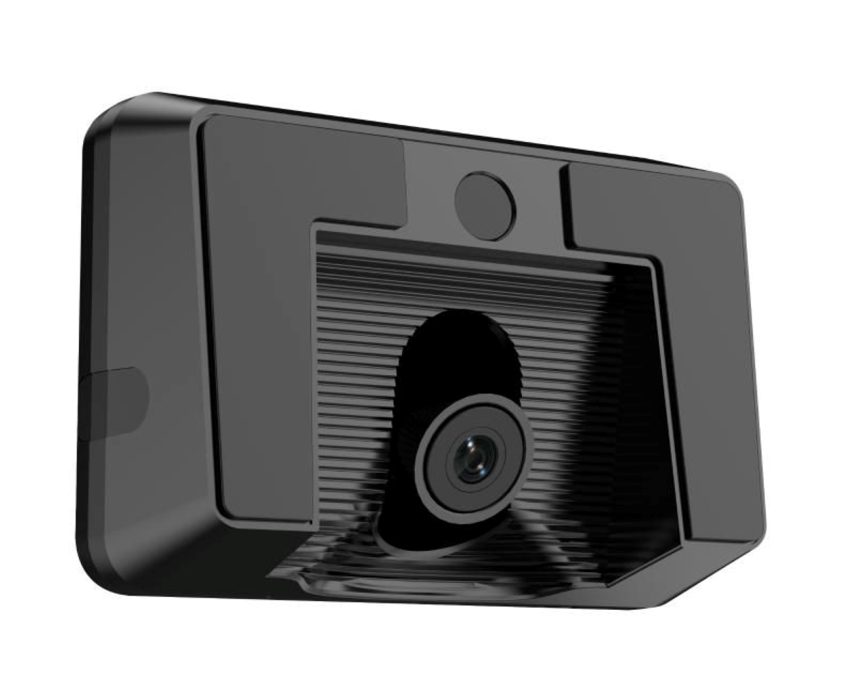 standard_resolution-79.jpg