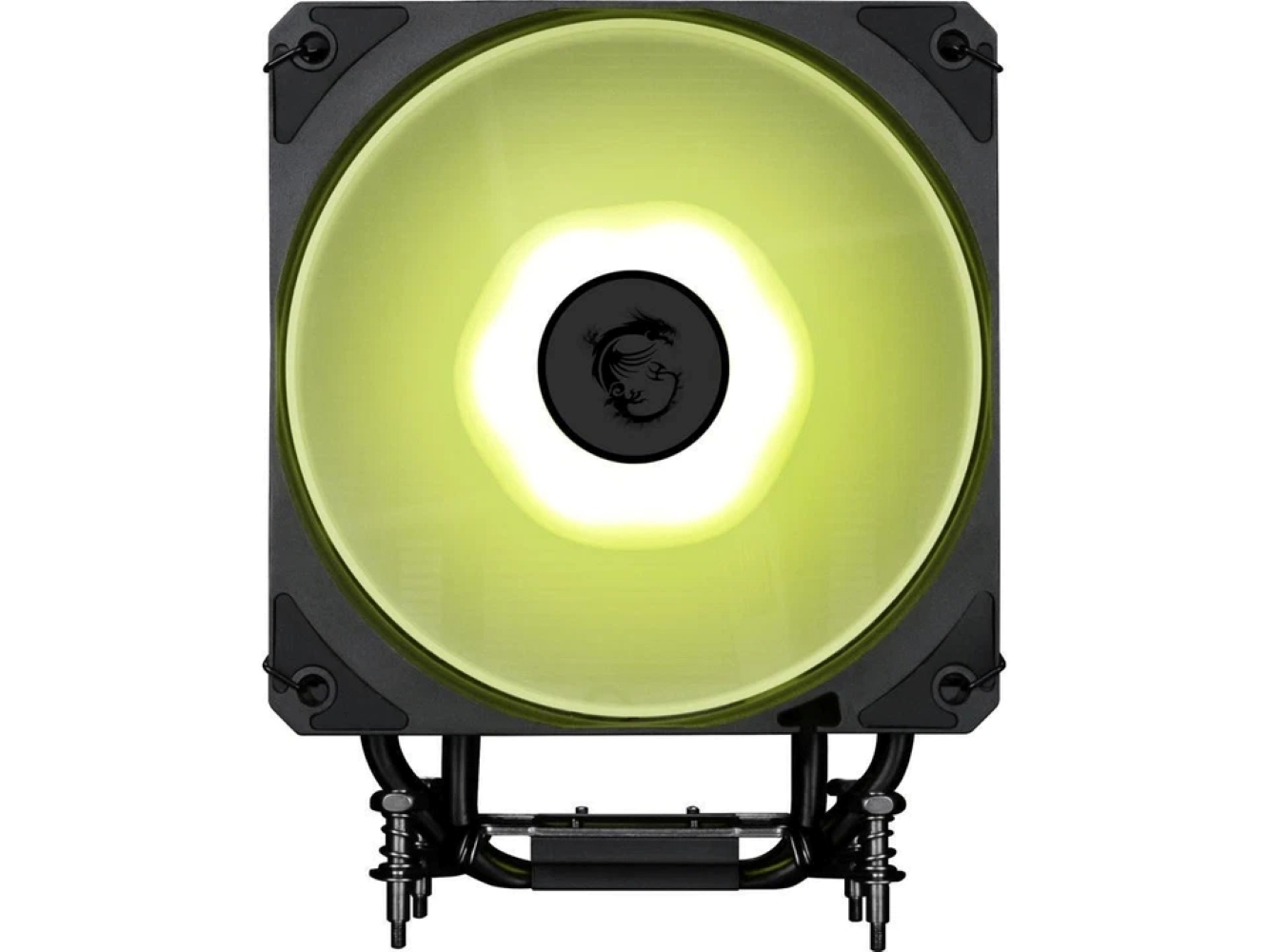 standard_resolution-36.jpg