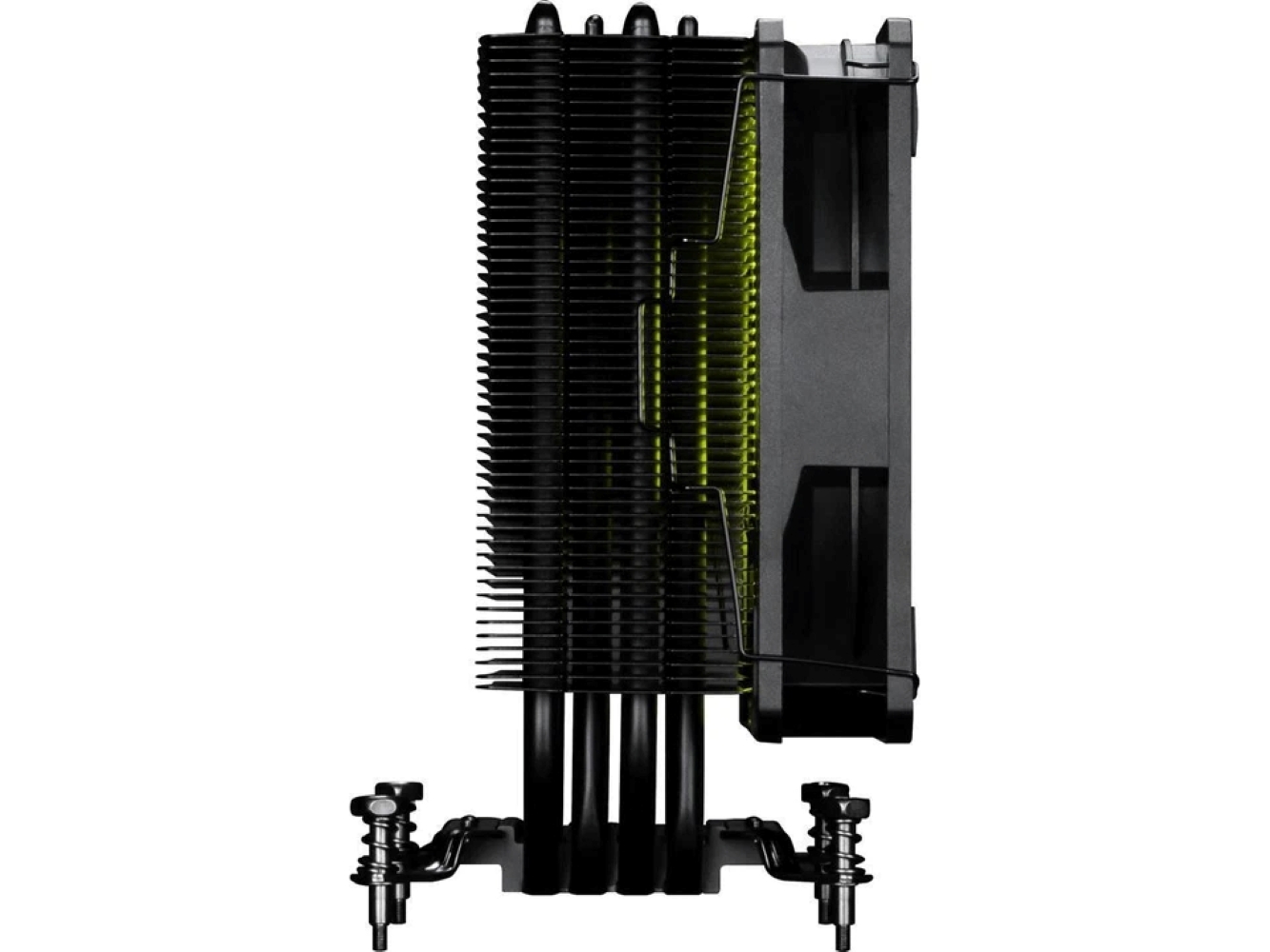 standard_resolution-38.jpg