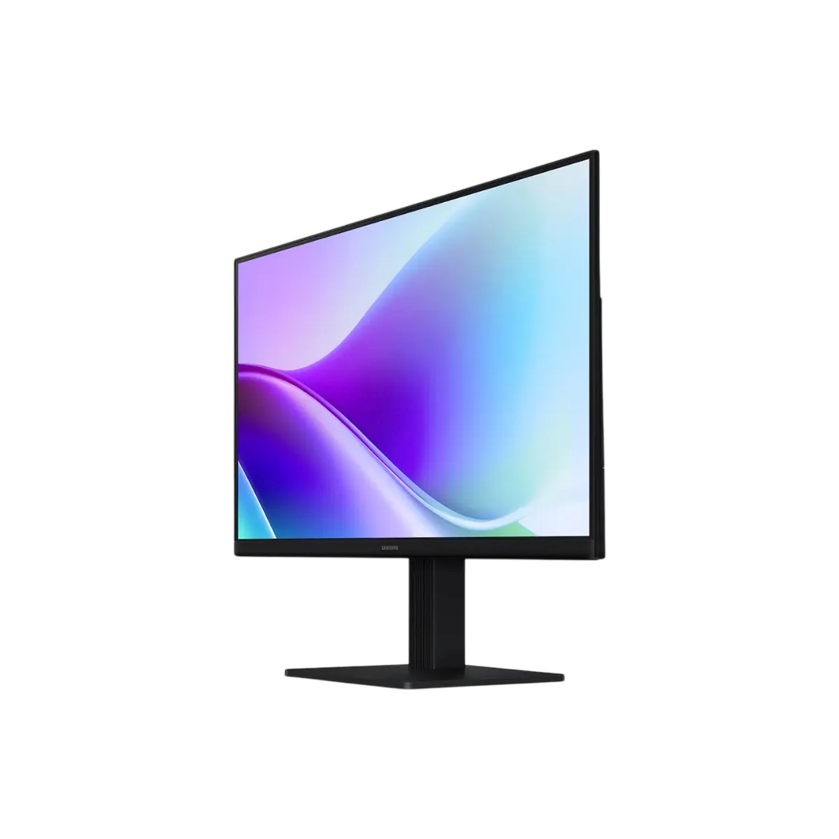 standard_resolution-46.jpg
