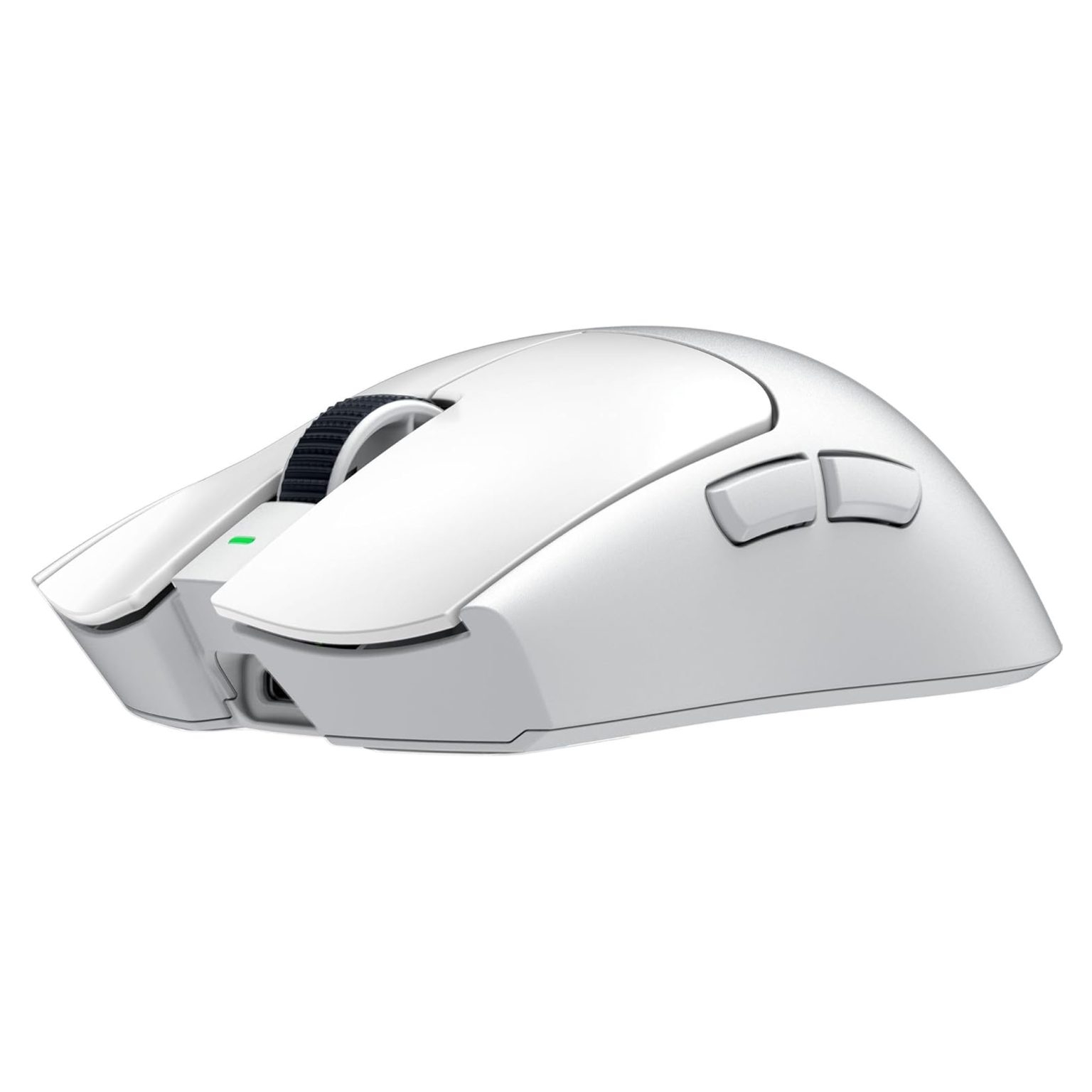 standard_resolution-318.jpg