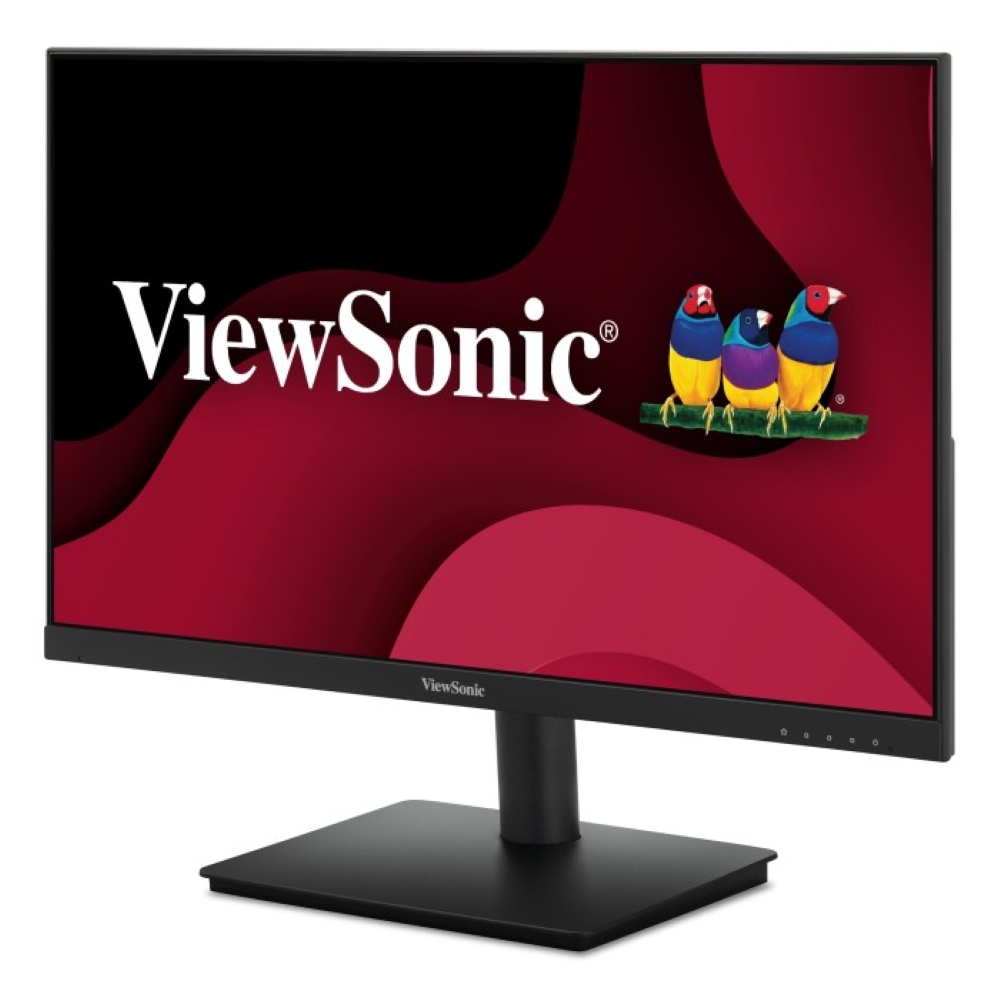 standard_resolution-329.jpg