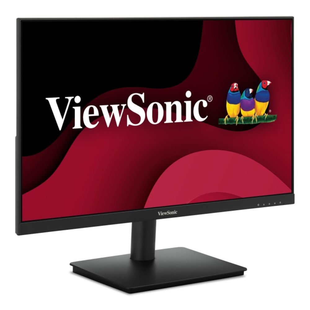 standard_resolution-343.jpg