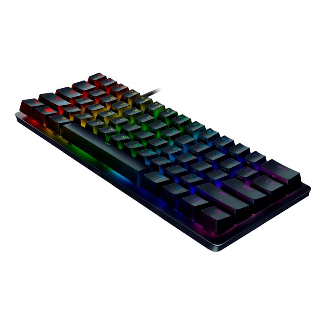 standard_resolution-186.jpg