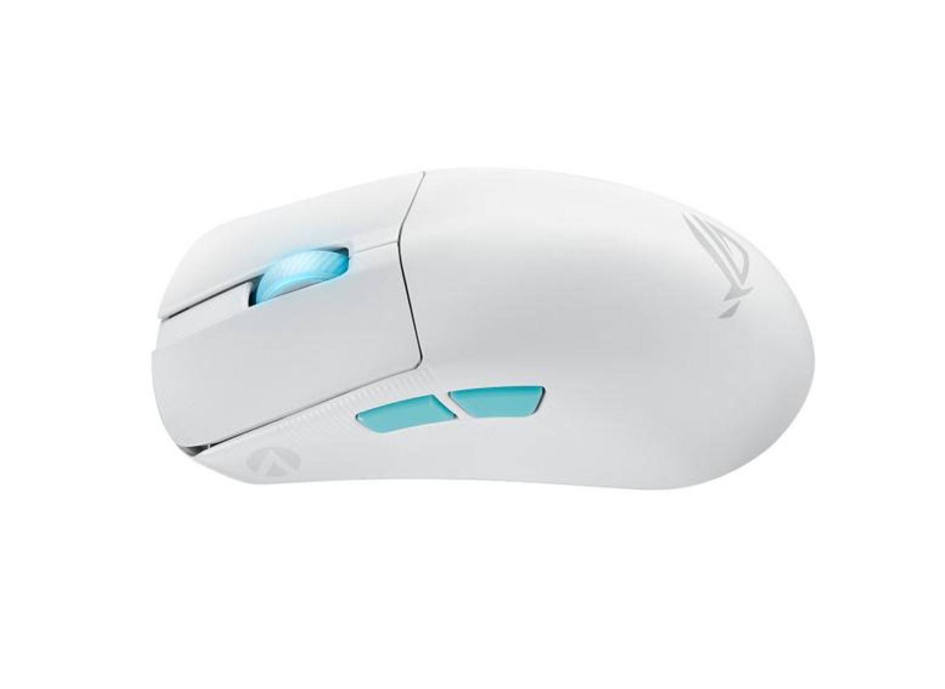 standard_resolution-220.jpg