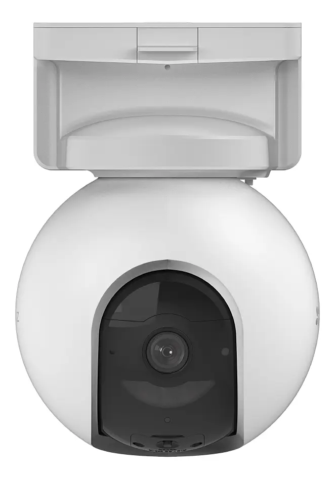 standard_resolution-9.webp