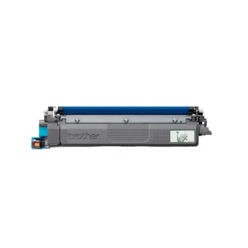 standard_resolution-16.webp