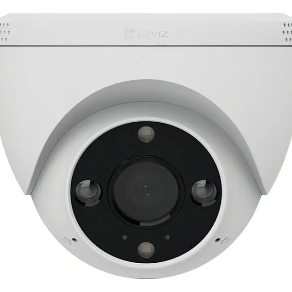 standard_resolution-201.jpg