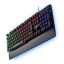 standard_resolution-202.jpg