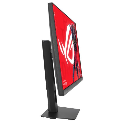 standard_resolution-226.jpg