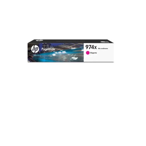 standard_resolution-543.jpg