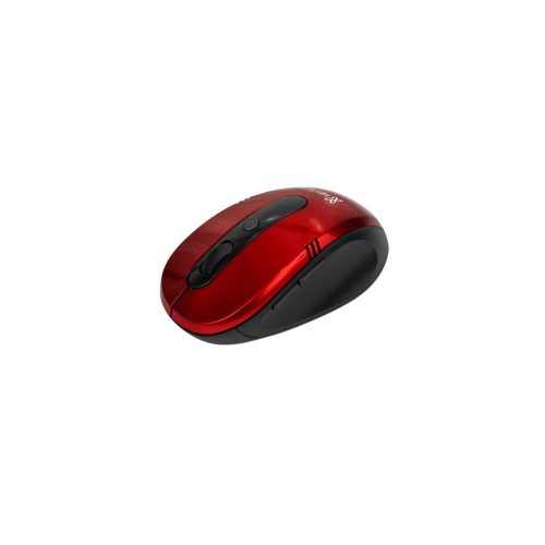 standard_resolution-813.jpg