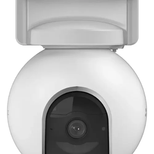 standard_resolution-9.webp
